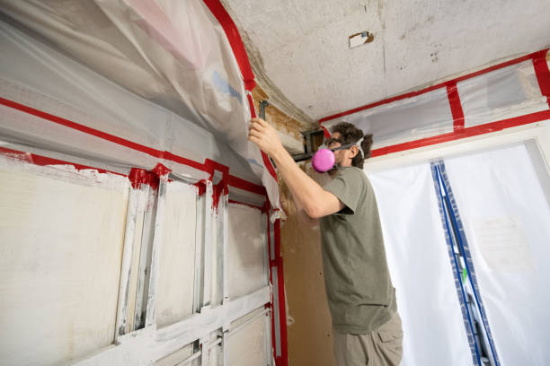 Environmental Consulting for Mold Prevention in Boscobel, WI